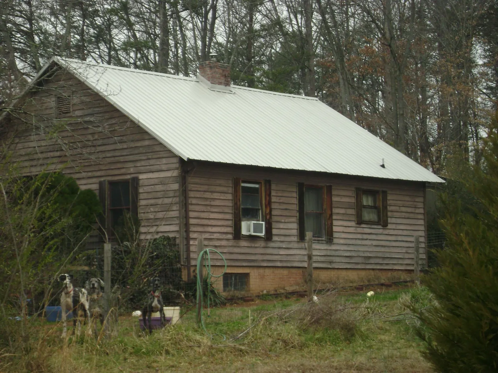 White metal roof on an old wood sided farmhouse in Oldhams